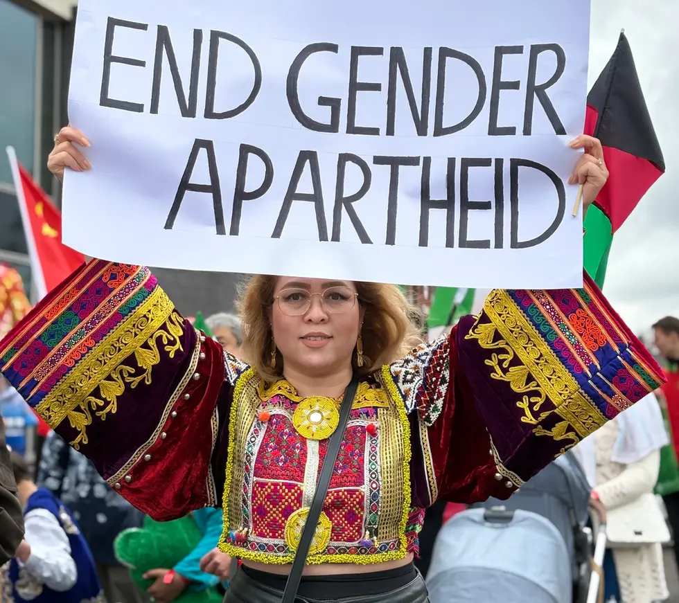 Taking Stock of the Proposal to Codify Gender Apartheid in the Crimes against Humanity Convention