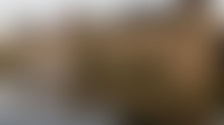 Dutch court: Serious risk that Israel is committing genocide in Gaza