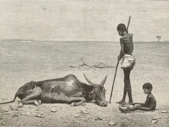 A Powerful El Niño Is Forming. If History Is a Guide, It Could Hit Hard.