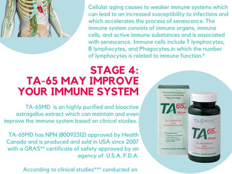 免疫強化:免疫の老化とテロメア