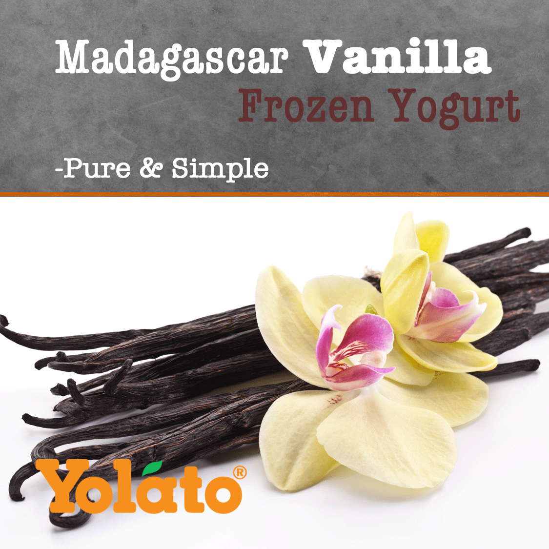 Soft Serve Madagascar Vanilla Frozen Yogurt