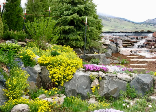 granite boulders around water feature 