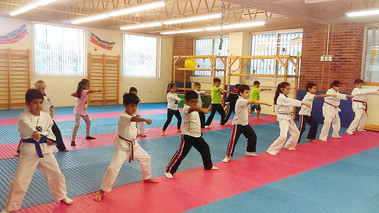 Tae Kwon Do