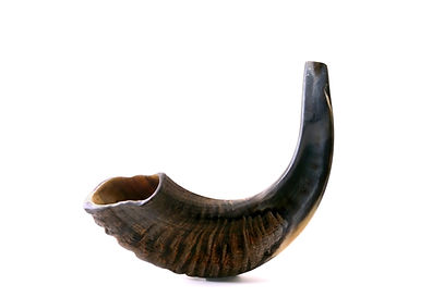 shofar.jpg