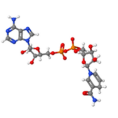 Screenshot 2025-05-26 at 5.33.40 AM.png