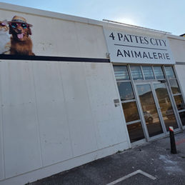 Façade de l'animalerie 4 Pattes City avec logo et photos d'animaux.
