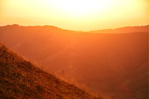 Paysage-75_edited.jpg