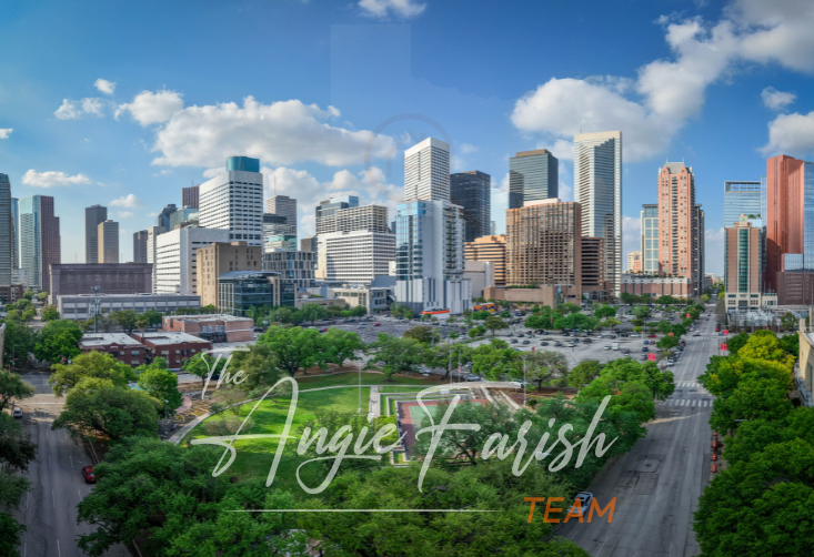 Houston Real estate agent