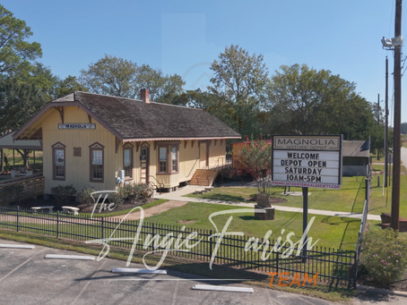 🏡 Dream or Reality? A Complete 2025 Relocation Guide | Magnolia, Texas 2025