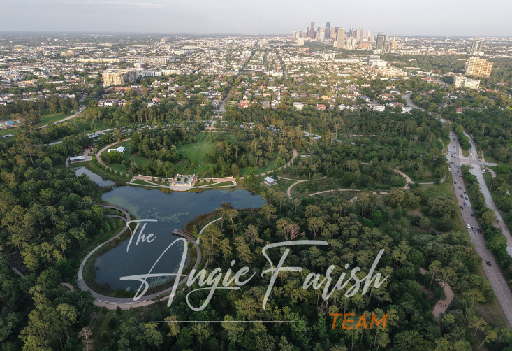 Houston Real estate agent