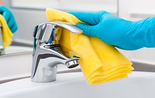 Cleaning Sink
