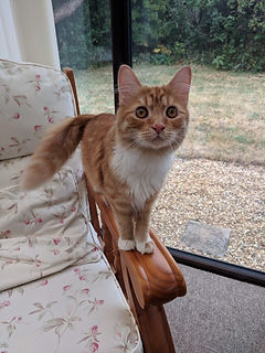 image1 (1).jpeg