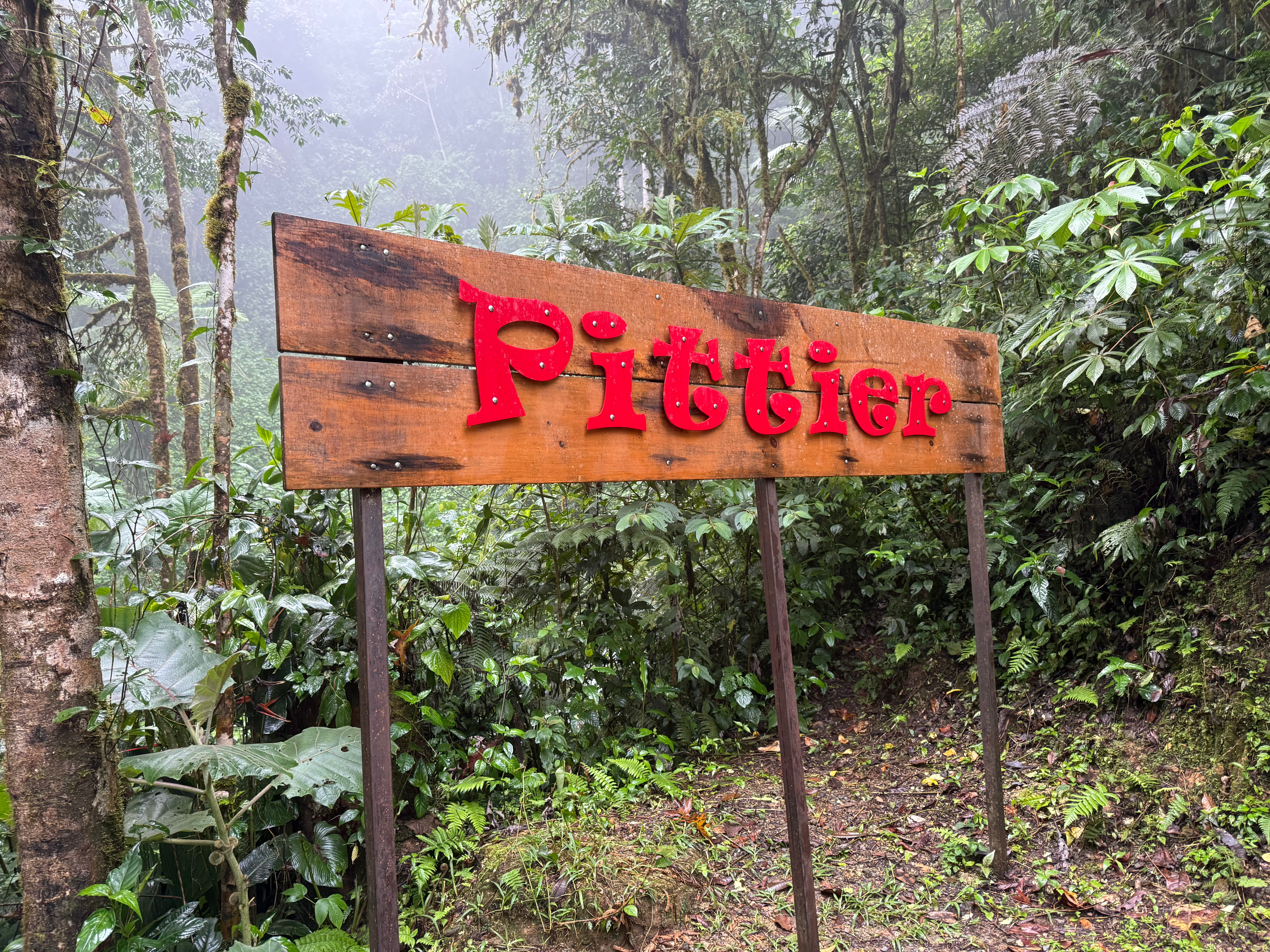 ホスペダヘ・セロ・ピティエール（宿）