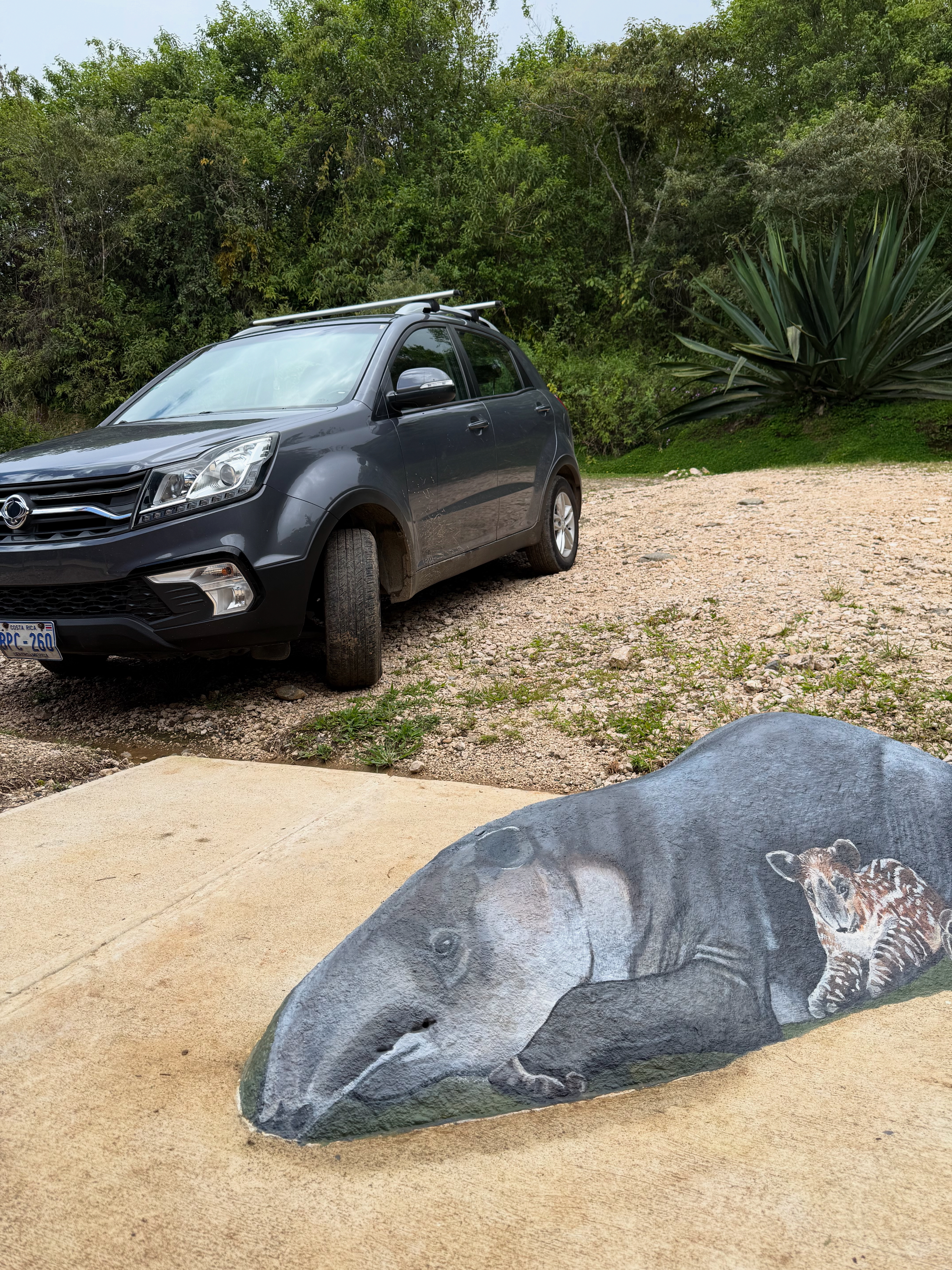 バクの親子の壁画