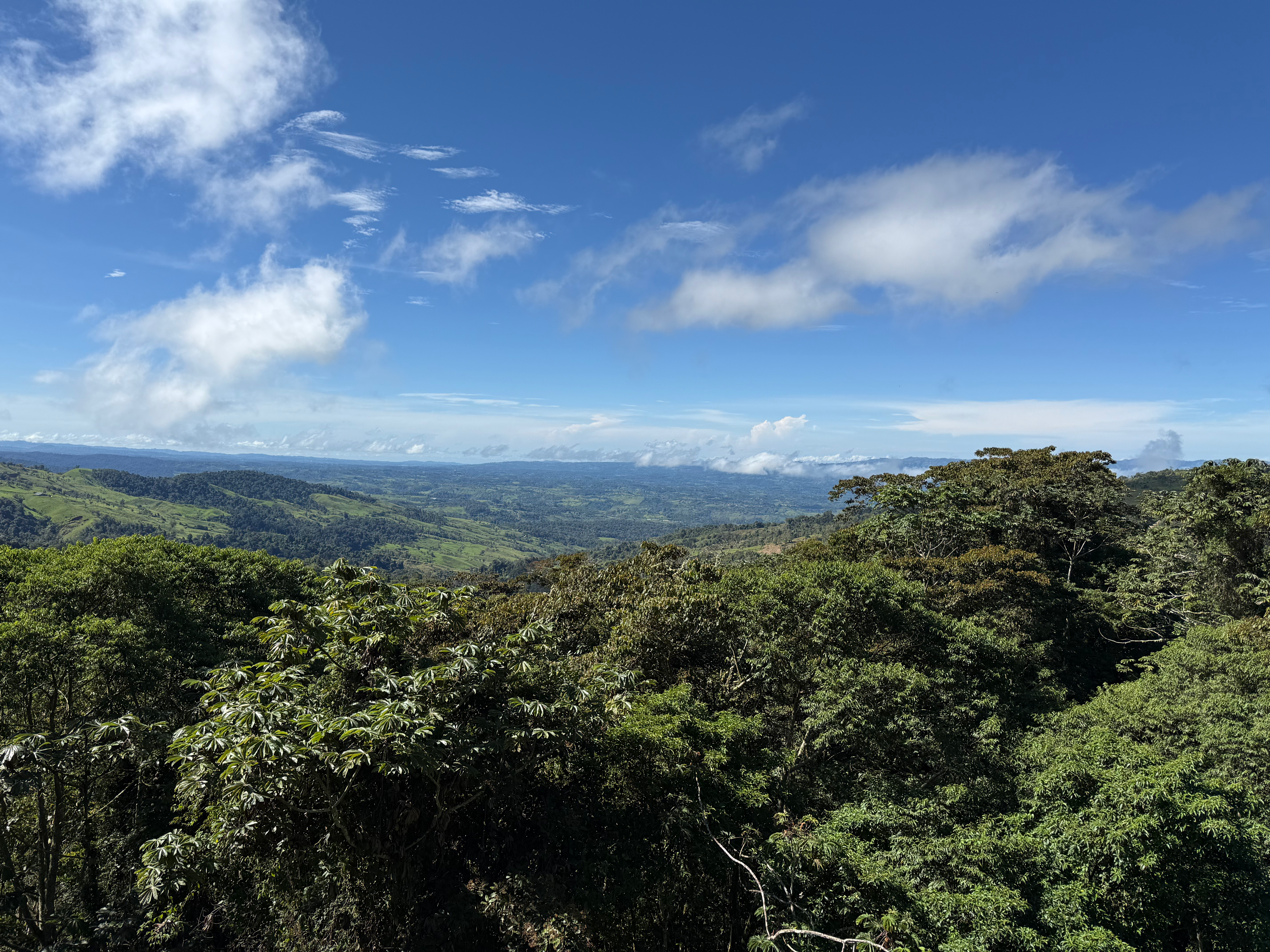 2日目の晴天のラ・アミスター