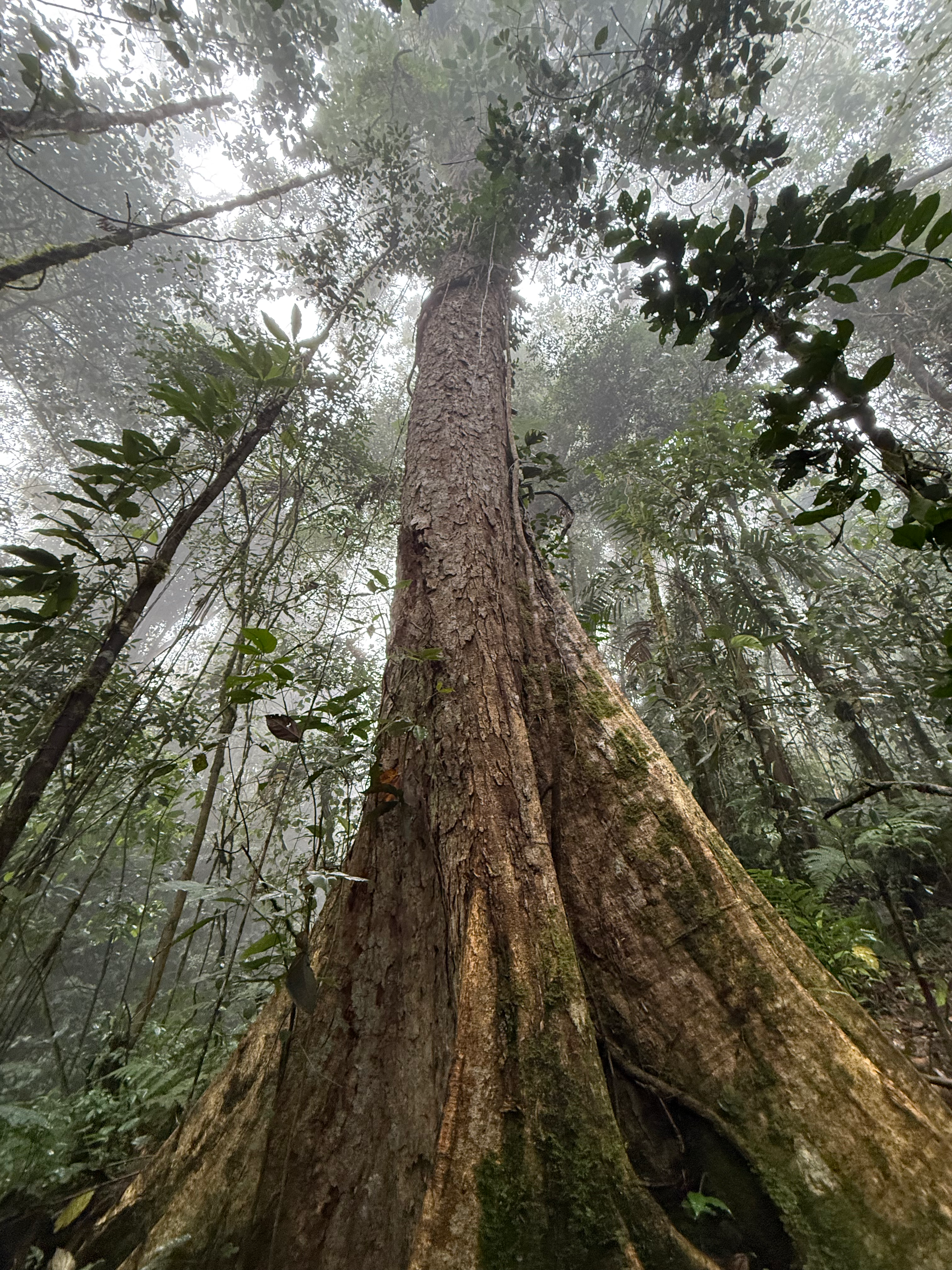 ピティエール滝