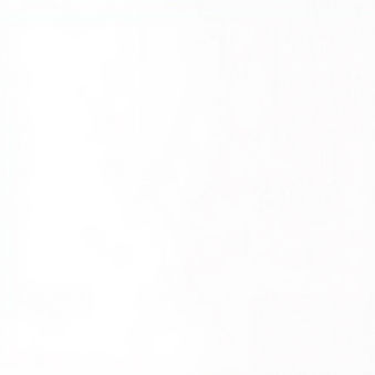 make a plain white image.jpg