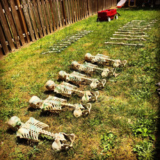 Zombie Pirate Skeletons