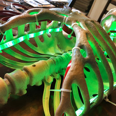 Zombie Pirate Skeletons light test