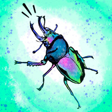 'Belligerent Beetle'