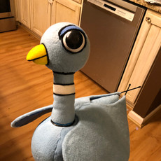 The Pigeon