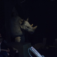 Rhino (in use)