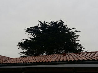 Temps de rêve à l’Île l'Oléron