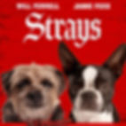 Strays