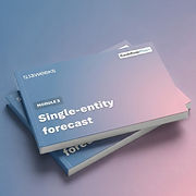 Cashflow forecasting advanced training