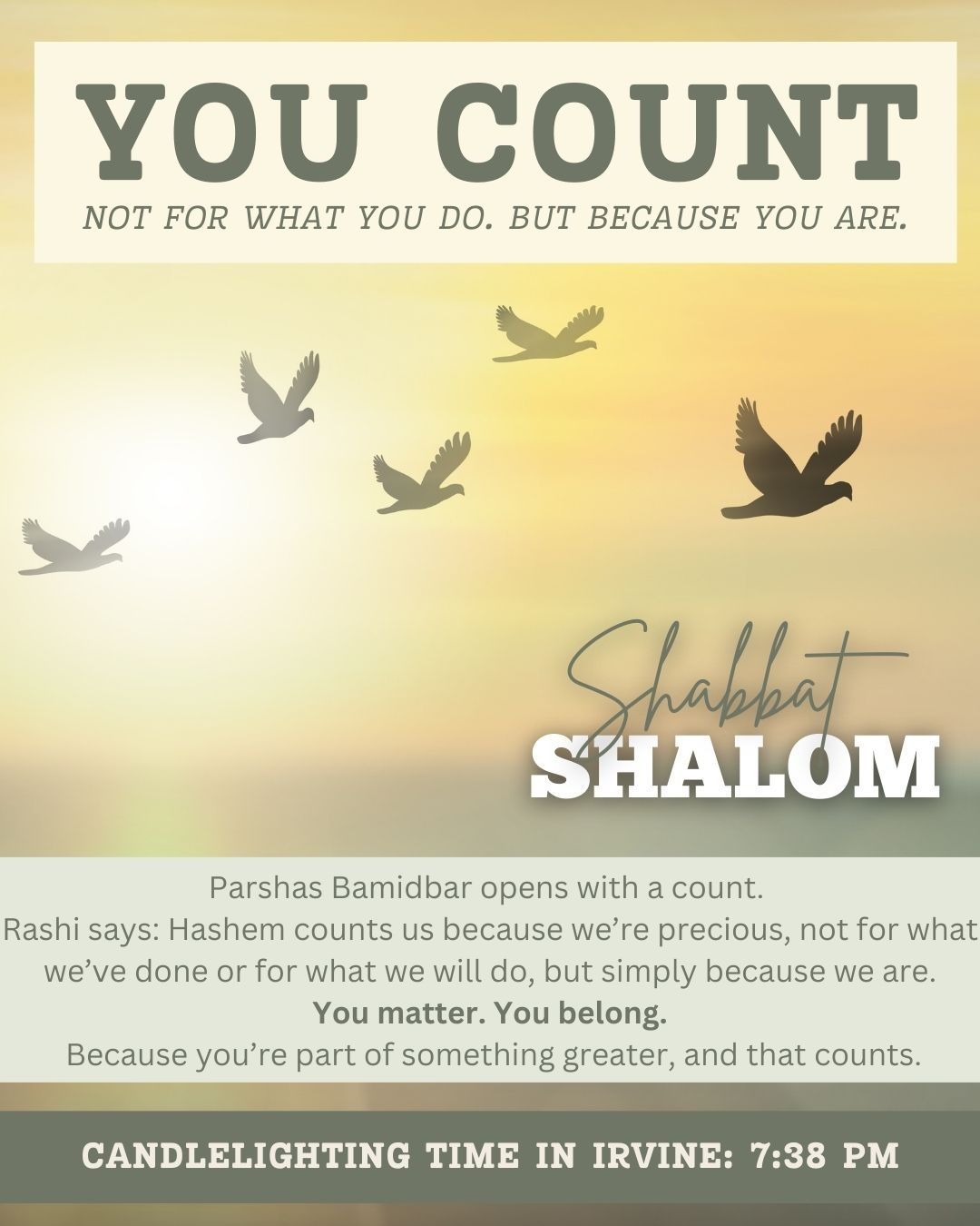 Shabbat Times Canva Template - Bamidbar
