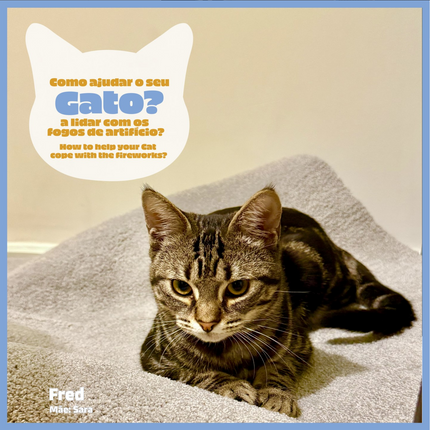 How to help your cat deal with fireworks?