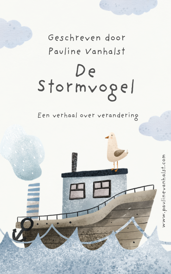 De Stormvogel - Verwerkingsboek bij scheidende ouders