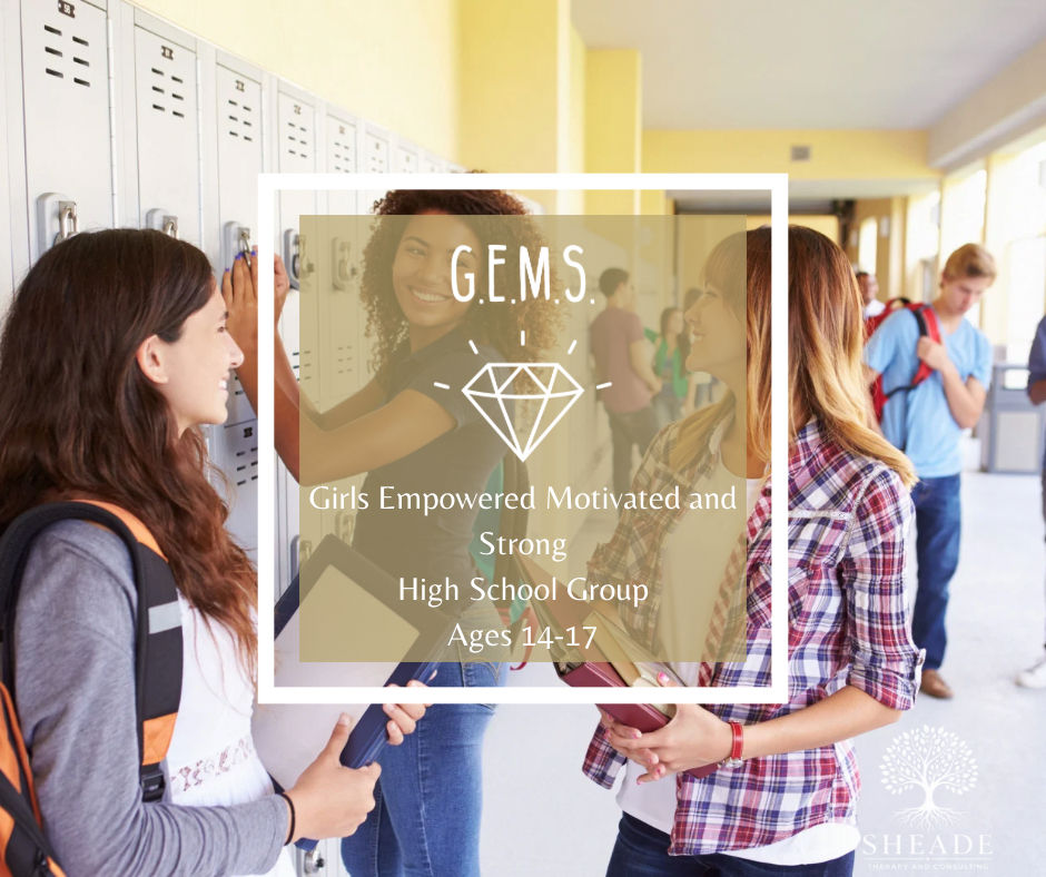 G.E.M.S. High School Edition