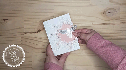 GIF.gif
