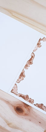 Carte de vœux 2022 4.jpg