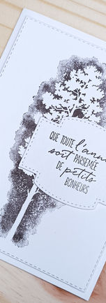 Carte de vœux 2022 1.jpg