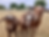 CC16964B-A749-40A9-81A3-4471AD3E6449