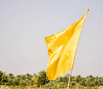imgi_15_service-flagger.