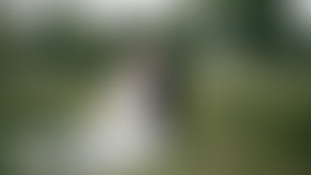 Capturing Special Details That Likely Go Unnoticed