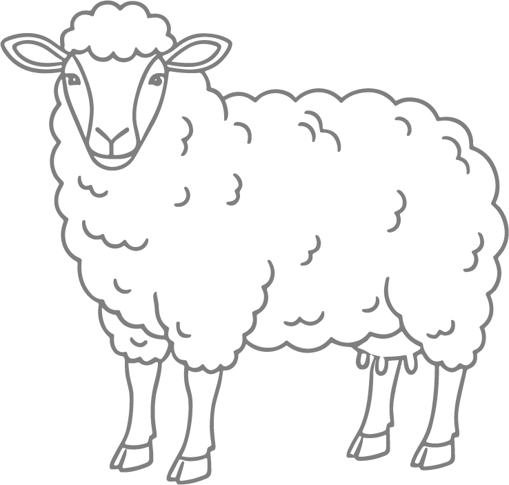Line drawing of a sheep