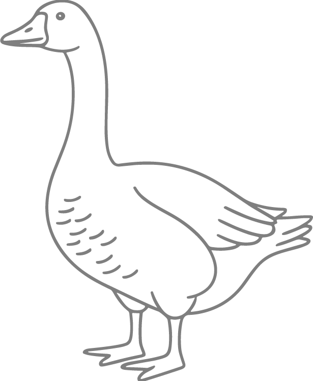 Line Drawing of Goose