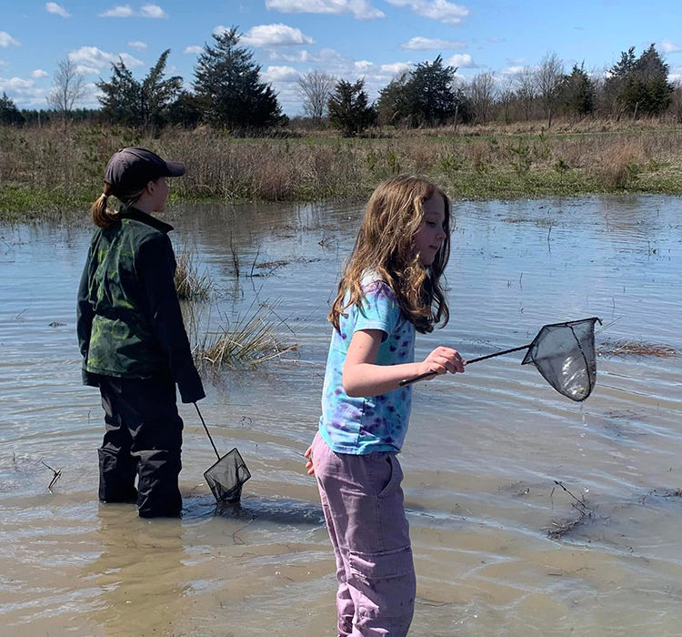 Children using nets to fish in a pond