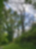Highclere stud Ash rd8_edited.jpg