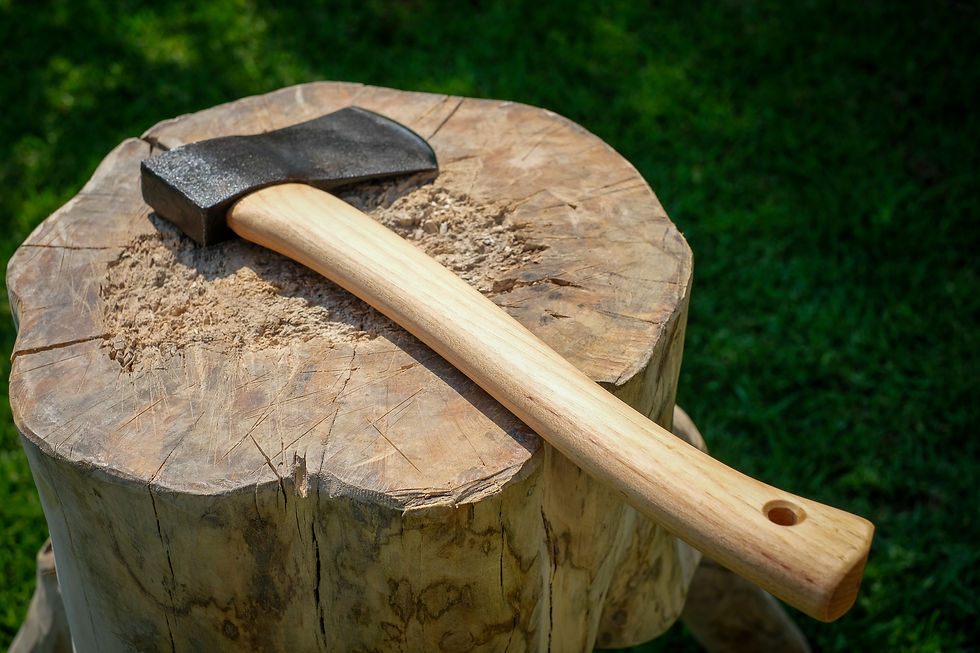 Thumbnail: CNH Bushcraft Axe 5