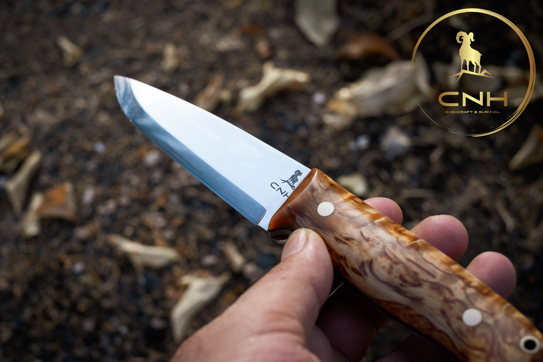 CNH Bushcraft Knife - Curly Birch