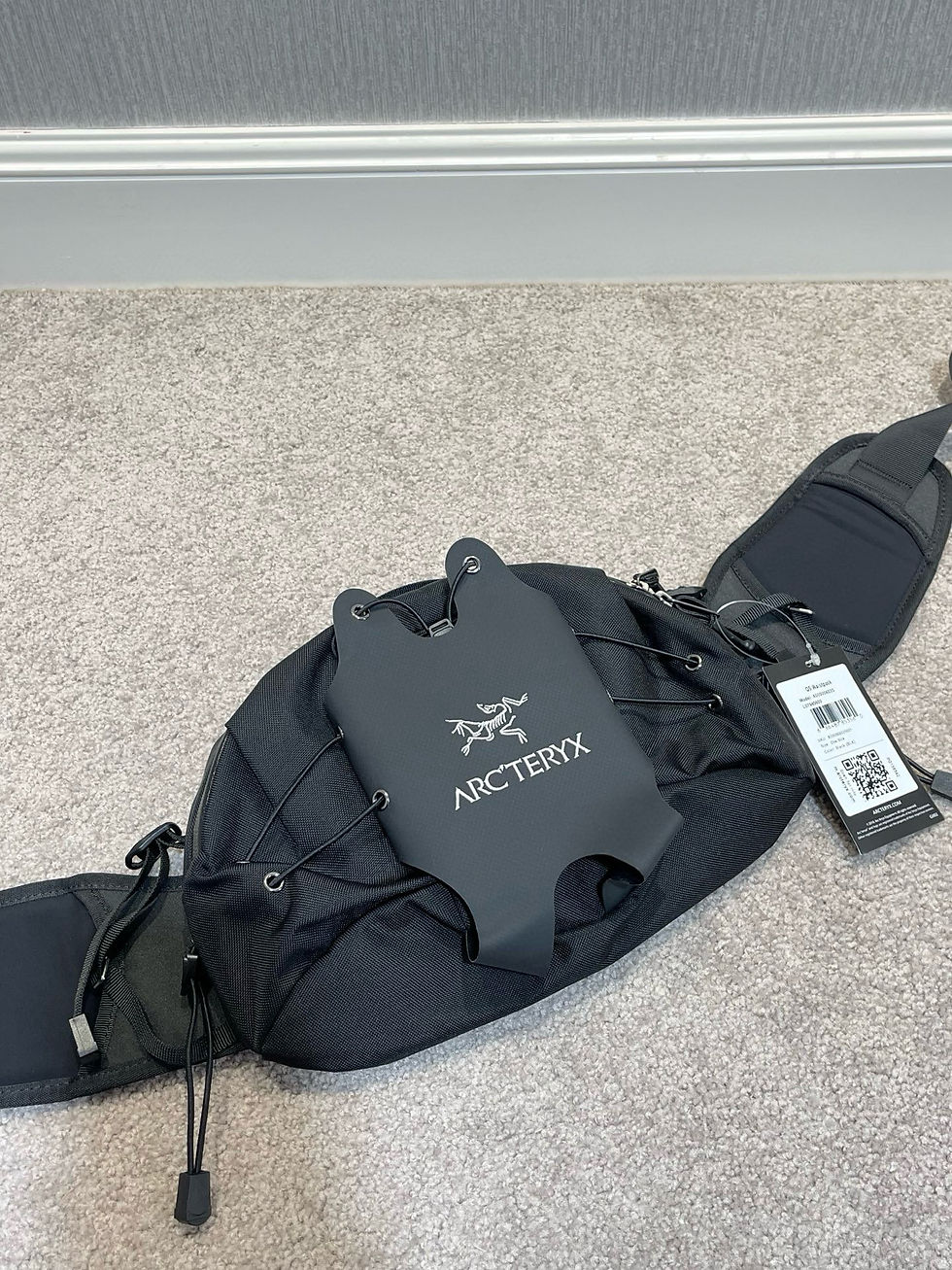 Thumbnail: ARC’TERYX Q5 WAISTPACK BLACK