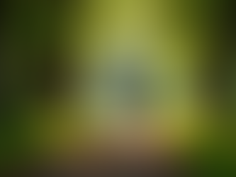 Embracing the Art of Slow: How Walking Without Rushing Transforms Your Life