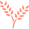 Copy of Copy of Logo (4).png