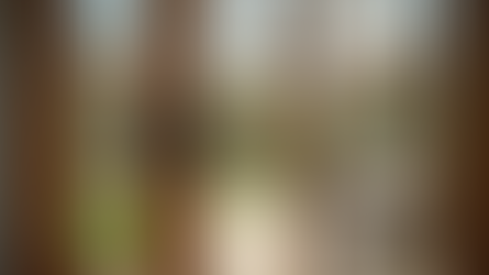 Enhance Your Conservatory with Custom Doors