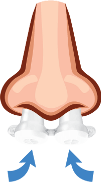 bongo-breathe-in-2.png